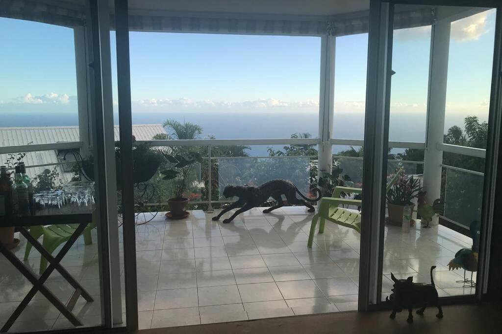 סן-לו St Leu -Villa D'Artiste, Superbe Vue Mer, Piscine Chauffee מראה חיצוני תמונה